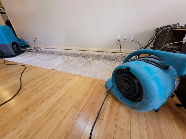 Professional Emergency Water Damage technician working in Vincent, CA